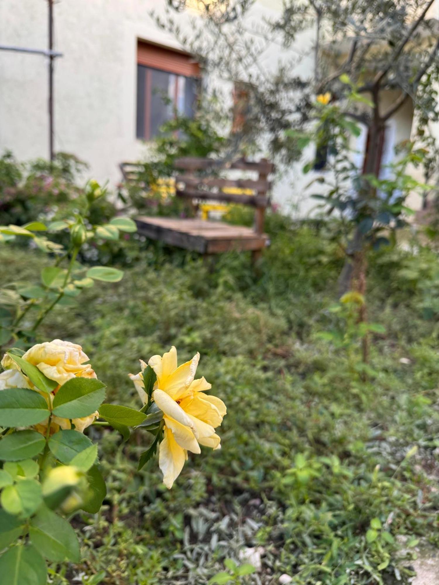 Ardjon House Hostel Berat Luaran gambar